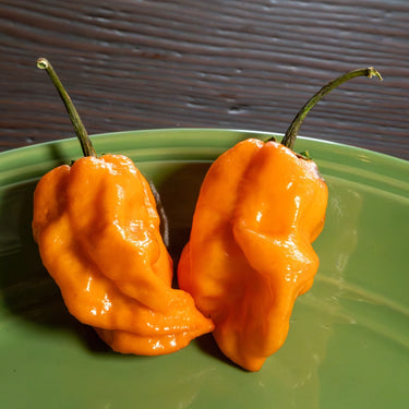Bubblegum 7 Pot x SRTSL Orange Pepper Seeds - The Pepper Pantry (Formerly Marie Sharp's)